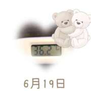 ヒメ日記 2025/06/19 09:00 投稿 ゆきな 石庭