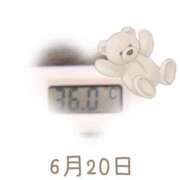 ヒメ日記 2025/06/20 09:01 投稿 ゆきな 石庭