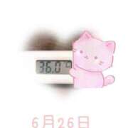 ヒメ日記 2025/06/26 09:01 投稿 ゆきな 石庭