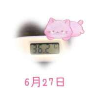 ヒメ日記 2025/06/27 09:01 投稿 ゆきな 石庭