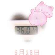 ヒメ日記 2025/06/28 09:07 投稿 ゆきな 石庭