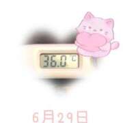 ヒメ日記 2025/06/29 09:01 投稿 ゆきな 石庭