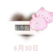 ヒメ日記 2025/06/30 09:15 投稿 ゆきな 石庭