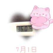 ヒメ日記 2025/07/01 09:00 投稿 ゆきな 石庭