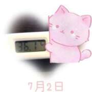 ヒメ日記 2025/07/03 09:00 投稿 ゆきな 石庭