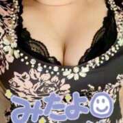 ヒメ日記 2025/07/04 08:20 投稿 ゆきな 石庭