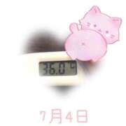 ヒメ日記 2025/07/04 09:10 投稿 ゆきな 石庭