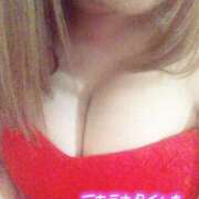 ヒメ日記 2025/07/10 07:20 投稿 ゆきな 石庭