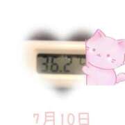 ヒメ日記 2025/07/10 12:20 投稿 ゆきな 石庭