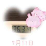 ヒメ日記 2025/07/11 09:01 投稿 ゆきな 石庭