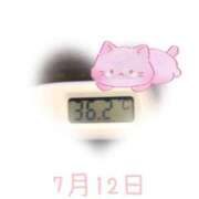 ヒメ日記 2025/07/12 09:04 投稿 ゆきな 石庭