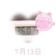 ヒメ日記 2025/07/13 09:01 投稿 ゆきな 石庭