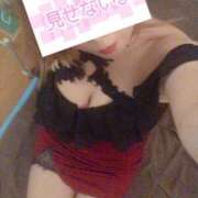 ヒメ日記 2025/07/15 06:40 投稿 ゆきな 石庭