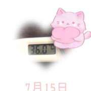 ヒメ日記 2025/07/15 09:20 投稿 ゆきな 石庭