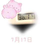 ヒメ日記 2025/07/17 09:10 投稿 ゆきな 石庭