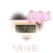 ヒメ日記 2025/07/18 09:10 投稿 ゆきな 石庭