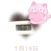 ヒメ日記 2025/07/19 09:00 投稿 ゆきな 石庭