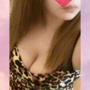 ヒメ日記 2025/07/19 15:33 投稿 ゆきな 石庭