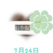 ヒメ日記 2025/07/24 09:20 投稿 ゆきな 石庭
