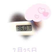 ヒメ日記 2025/07/25 09:10 投稿 ゆきな 石庭