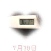 ヒメ日記 2025/07/30 09:00 投稿 ゆきな 石庭