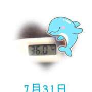 ヒメ日記 2025/07/31 09:01 投稿 ゆきな 石庭