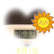 ヒメ日記 2025/08/01 09:01 投稿 ゆきな 石庭