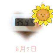 ヒメ日記 2025/08/02 09:01 投稿 ゆきな 石庭