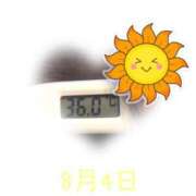 ヒメ日記 2025/08/04 09:15 投稿 ゆきな 石庭