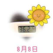 ヒメ日記 2025/08/08 09:00 投稿 ゆきな 石庭