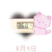 ヒメ日記 2025/08/09 09:10 投稿 ゆきな 石庭