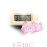 ヒメ日記 2025/08/10 09:15 投稿 ゆきな 石庭