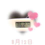 ヒメ日記 2025/08/12 09:20 投稿 ゆきな 石庭