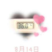 ヒメ日記 2025/08/14 09:00 投稿 ゆきな 石庭