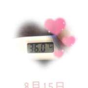 ヒメ日記 2025/08/15 09:10 投稿 ゆきな 石庭