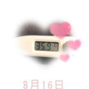 ヒメ日記 2025/08/16 09:00 投稿 ゆきな 石庭