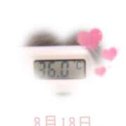 ヒメ日記 2025/08/18 09:00 投稿 ゆきな 石庭