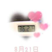 ヒメ日記 2025/08/21 09:00 投稿 ゆきな 石庭