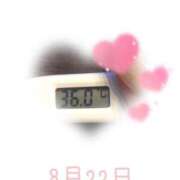 ヒメ日記 2025/08/22 12:20 投稿 ゆきな 石庭