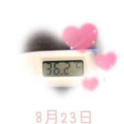 ヒメ日記 2025/08/23 09:01 投稿 ゆきな 石庭