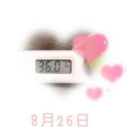 ヒメ日記 2025/08/26 09:00 投稿 ゆきな 石庭