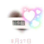 ヒメ日記 2025/08/27 09:00 投稿 ゆきな 石庭