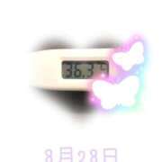 ヒメ日記 2025/08/28 09:00 投稿 ゆきな 石庭