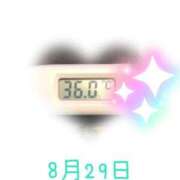 ヒメ日記 2025/08/29 09:01 投稿 ゆきな 石庭