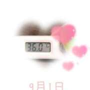 ヒメ日記 2025/09/01 09:10 投稿 ゆきな 石庭