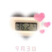 ヒメ日記 2025/09/03 09:00 投稿 ゆきな 石庭