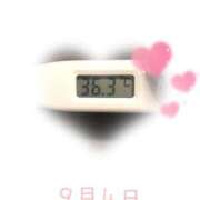 ヒメ日記 2025/09/04 09:20 投稿 ゆきな 石庭