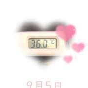 ヒメ日記 2025/09/05 09:00 投稿 ゆきな 石庭