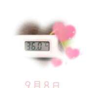 ヒメ日記 2025/09/08 10:00 投稿 ゆきな 石庭