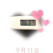 ヒメ日記 2025/09/11 09:01 投稿 ゆきな 石庭